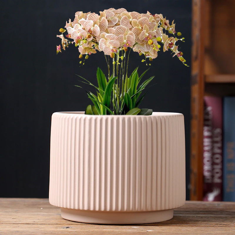กระถางดอกไม้เซรามิก Phalaenopsis กระถางดอกไม้แบบนอร์ดิกเรียบง่าย ไซต์ใหญ่