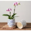 กระถางดอกไม้เซรามิก ฟาแลนนอปซิส ลายครามสีขาวสีฟ้า สไตล์จีนคลาสสิก 2 ชิ้น