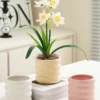 กระถางดอกไม้เซรามิกโดนัท เกรดพรีเมี่ยมสไตล์มินิมอล 3 pcs.